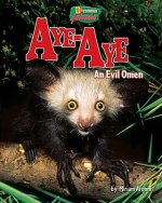 Aye-Aye: An Evil Omen