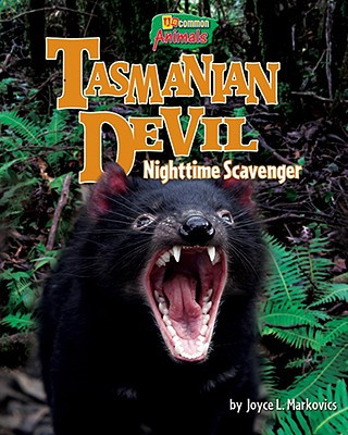 Tasmanian Devil: Nighttime Scavenger