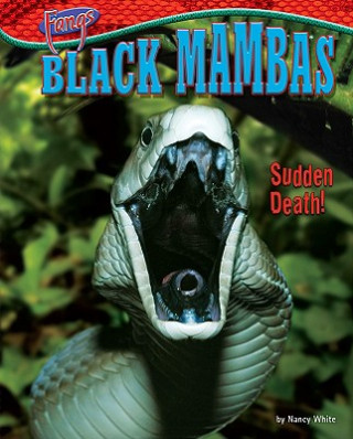 Black Mambas: Sudden Death!