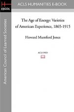 The Age of Energy: Varieties of American Experience, 1865-1915