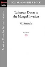 Turkestan Down to the Mongol Invasion