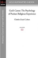 God's Caress: The Psychology of Puritan Religious Experience