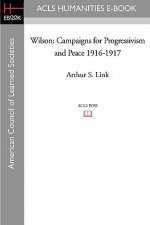 Wilson: Campaigns for Progressivism and Peace 1916-1917