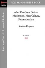 After the Great Divide: Modernism, Mass Culture, Postmodernism