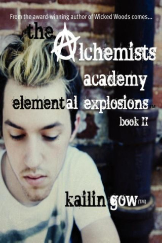 The Alchemists Academy Book 2: Elemental Explosions