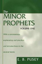 The Minor Prophets, 2 Volumes: With a Commentary, Explanatory and Practical, and Introductions to the Several Books