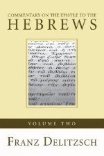 Commentary on the Epistle to the Hebrews, 2 Volumes