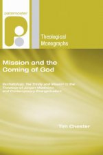 Mission and the Coming of God: Eschatology, the Trinity and Mission in the Theology of Jurgen Moltmann and Contemporary Evangelicalism