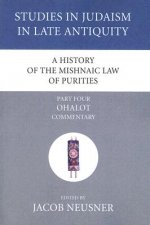 History of the Mishnaic Law of Purities, Part 4