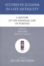 History of the Mishnaic Law of Purities, Part 6