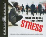 What the Bible Says about Stress: Personal Stories, Categorized Scriptures, and Practical Advice