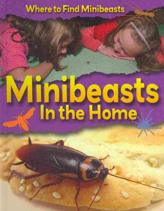 Minibeasts in the Home