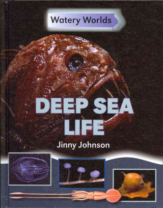 Deep Sea Life