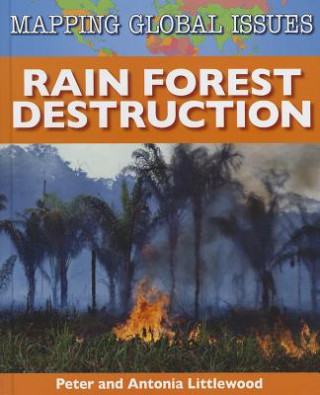 Rain Forest Destruction