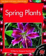 Spring Plants