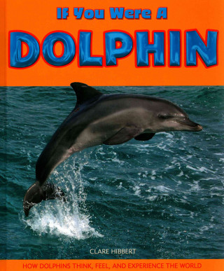 If You Were a Dolphin