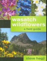 Wasatch Wildflowers