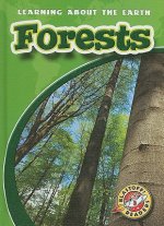 Forests