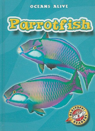 Parrotfish