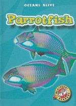 Parrotfish