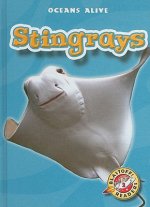 Stingrays