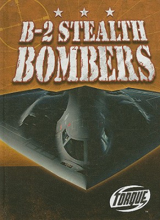 B-2 Stealth Bombers