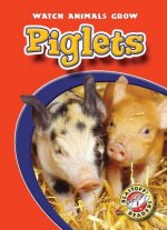 Piglets