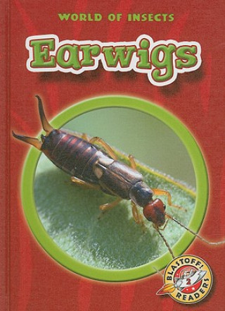 Earwigs