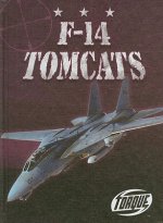 F-14 Tomcats