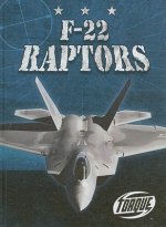 F-22 Raptors