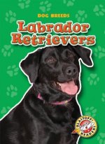 Labrador Retrievers