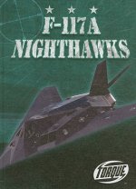 F-117A Nighthawks