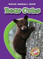 Bear Cubs