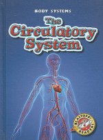 The Circulatory System