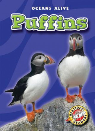 Puffins