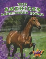 The American Saddlebred Horse