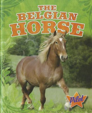The Belgian Horse