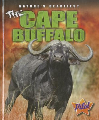 The Cape Buffalo