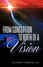 From Conception to Birth of a Vision