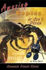 Amazing Copies of God's Design