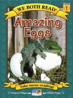 Amazing Eggs