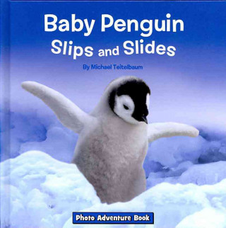 Baby Penguin Slips and Slides