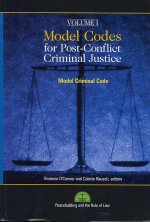 Model Codes for Post-conflict Criminal Code