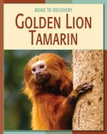 Gold Lion Tamarin