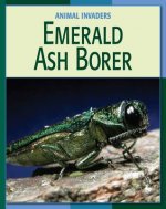 Emerald Ash Borer