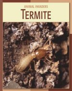 Termite