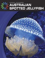 Australian Spotted Jellyfish