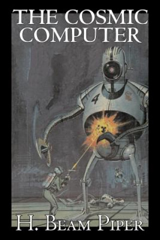 The Cosmic Computer