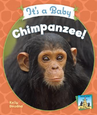 It's a Baby Chimpanzee!