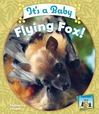 It's a Baby Flying Fox!